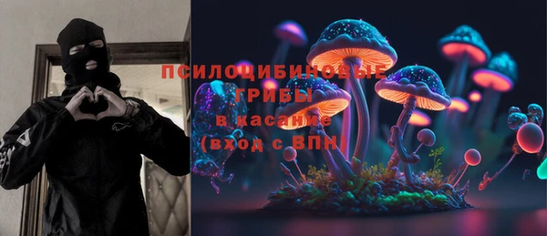 дурь Алексин