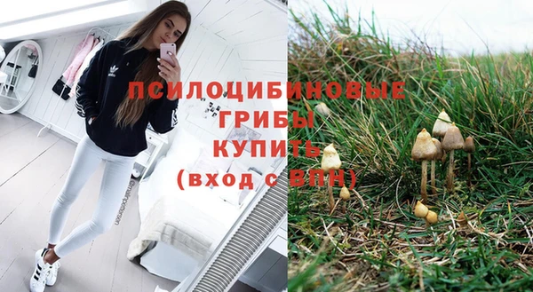 прущий лед Абаза